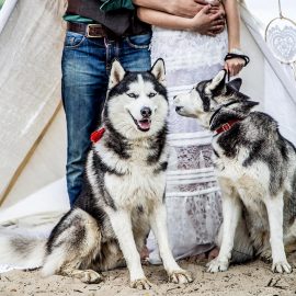Лайки love story фотосессия с собаками собакой свадебный на свадьбу фотограф киев Марина Праздничная